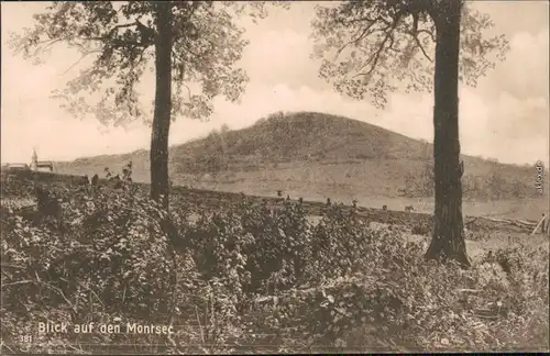 Ansichtskarte  Blick auf den Montsec 1917