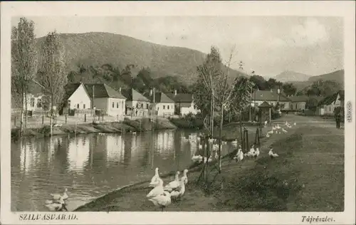 Ansichtskarte Szilvasvard Enten und Gänse am Fluss 1938