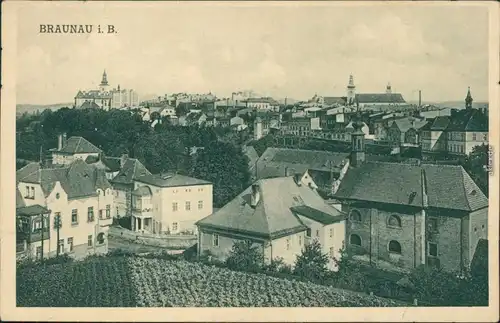 Ansichtskarte Braunau Broumov Blick auf die Stadt 1920