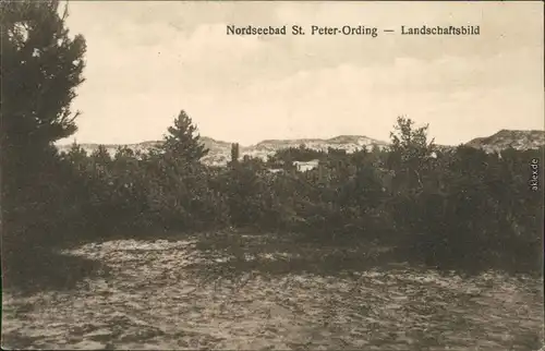 Ansichtskarte St. Peter-Ording Landschaftsbild 1920