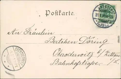 Ansichtskarte Dresden Dresden Altstädter Elbufer 1899