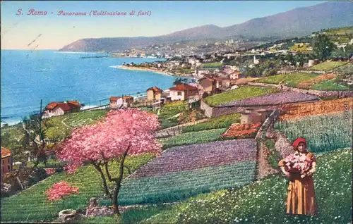 Ansichtskarte San Remo Sanremo Panorama 1914