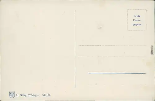 Ansichtskarte Schönmünzach-Baiersbronn Panorama 1930