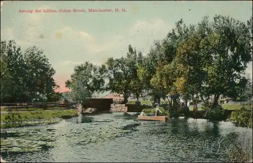 Manchester Among the Lillies, Cohas Brook/Park - Teich mit Boot 1913