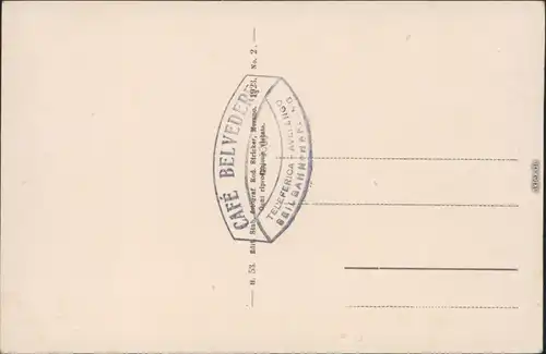 Ansichtskarte Meran Merano Seilbahn, Weinstreben - Panorama 1923 