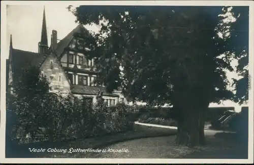 Ansichtskarte Coburg Lutherlinde und Kapelle 1965