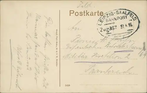 Ansichtskarte Weimar Partie am Römischen Haus 1916 