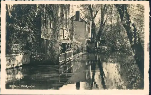 Ansichtskarte Cottbus Choćebuz Partie am Mühlgraben 1952 