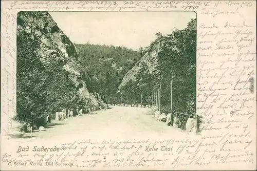 Ansichtskarte Bad Suderode Straßenpartie - Kalte Thal 1900 