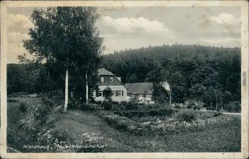 Ansichtskarte Bad Klosterlausnitz Partie am Waldhaus Meuschkenmühle 1935 