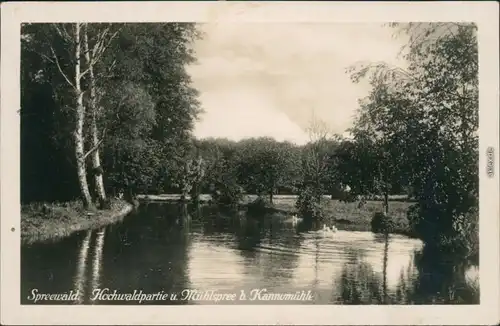 Neu Zauche Nowa Niwa Hochwaldpartie und Mühlspree Kannomühle 1932 