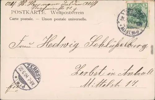 Ansichtskarte Pillnitz Partie beim Friedrichgrund 1904