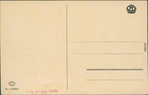 Ansichtskarte Bozen Bolzano Alto Adige / Südtirol mit Bergmassiv 1924 