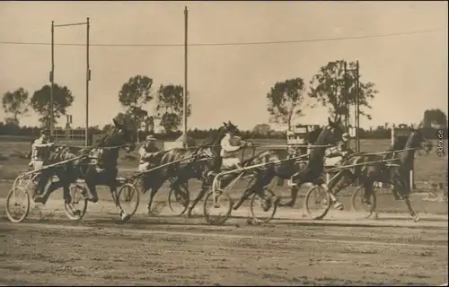 Ansichtskarte  Sport - Pferdesport - auf der Rennbahn Privatfoto AK 1920