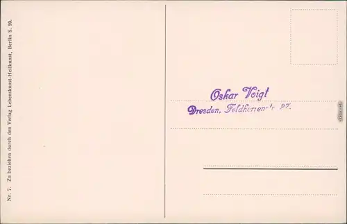 Ansichtskarte  Pilze - Wachholder-Milchling, Reizker, Röstling 1914