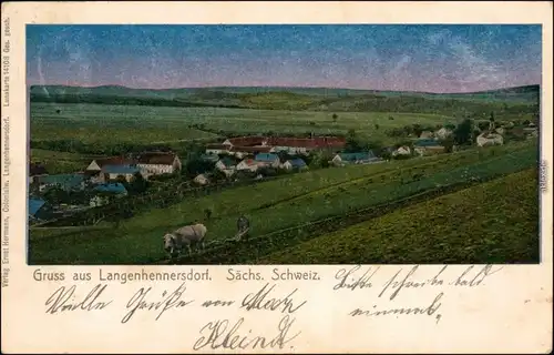 Langenhennersdorf-Bad Gottleuba-Berggießhübel Blick auf die Stadt 1908 Luna