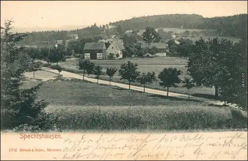 Ansichtskarte Spechtshausen-Tharandt Blick zu Gehöften 1908