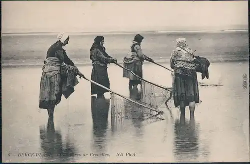 Berg aan de Zee Berck Fischer / Angler - Frauen am Strand mit Netzen 1909