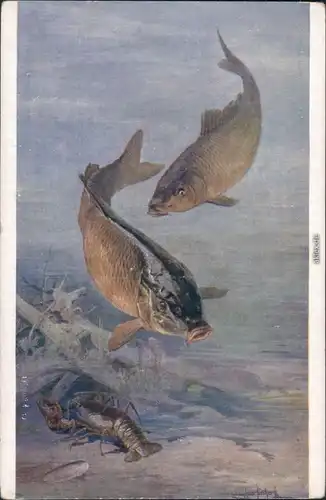 Ansichtskarte  Ludwig Hans Fischer - Am Meeresgrunde 1913