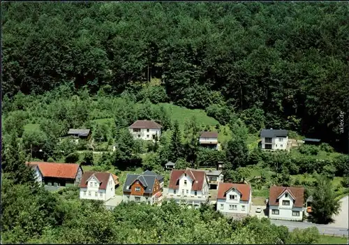 Ansichtskarte Wieda (Harz) Waldstraße und Steier 1979