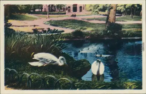 Cognac Jardins de l'Hotel-de-Ville - le lac/Garten des Stadthotels mit See 1940