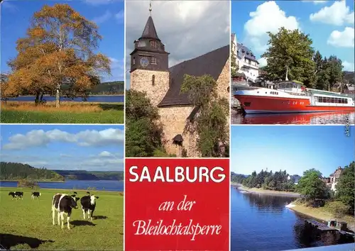 Saalburg-Ebersdorf (Saale)  Anlegestelle, Talsperre, Kühe, Personenschiff 1990