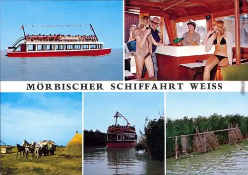 Ansichtskarte Mörbisch am See Mörbischer Schiffahrt Weiss 1985