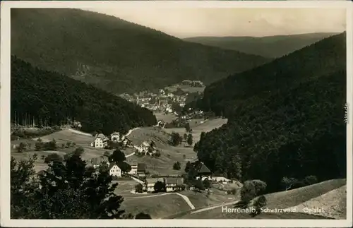 Ansichtskarte Bad Herrenalb Panorama-Ansicht 1935