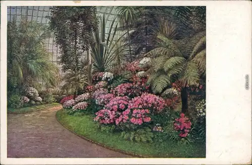 Ansichtskarte Schönbrunn Palmenhaus - Azaleen-Ausstellung 1928