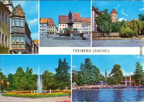 Ansichtskarte Freiberg (Sachsen) Stadtansichten g1977
