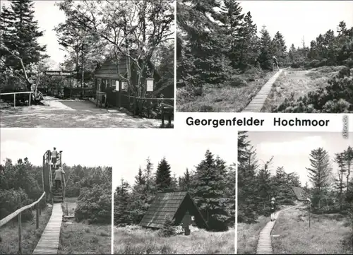 Zinnwald-Georgenfeld-Altenberg (Erzgebirge) Georgenfelder Hochmoor 1979