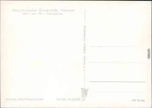 Zinnwald-Georgenfeld-Altenberg (Erzgebirge) Georgenfelder Hochmoor 1968