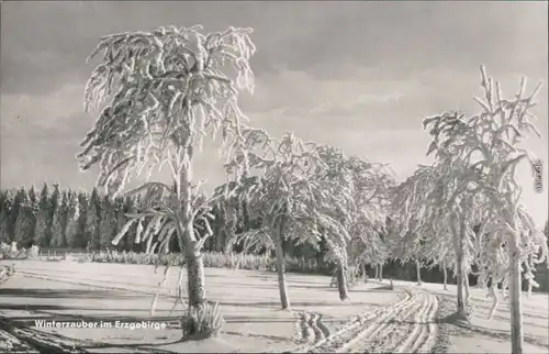 Ansichtskarte _Sachsen Winterzauber im Erzgebirge 1965