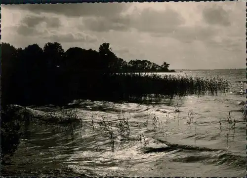 Ansichtskarte Waren (Müritz) Blick auf die Müritz 1964