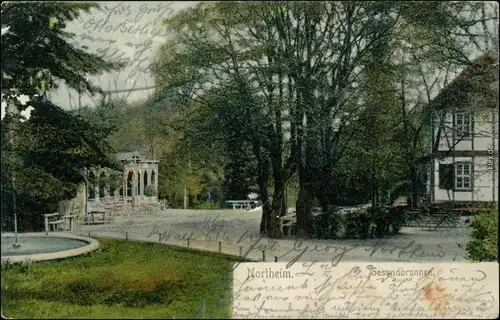 Ansichtskarte Northeim Gesundbrunnen Straßenpartie 1904