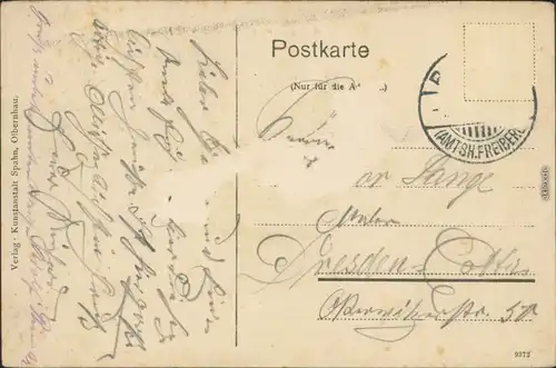 Ansichtskarte Niederlangenau Ritterguts-Park 1916