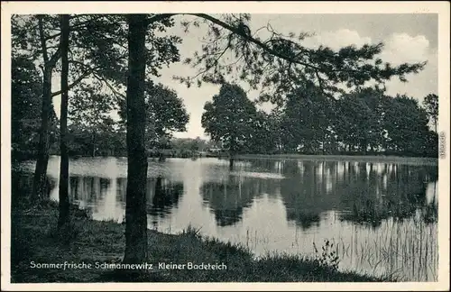 Ansichtskarte Schmannewitz-Dahlen Partie kleiner Badeteich 1938 