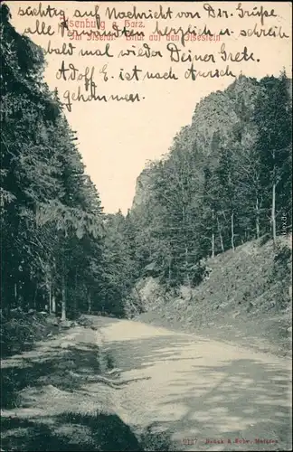 Ansichtskarte Ilsenburg (Harz) im Ilsetal, Blick auf den Ilsestein 1917