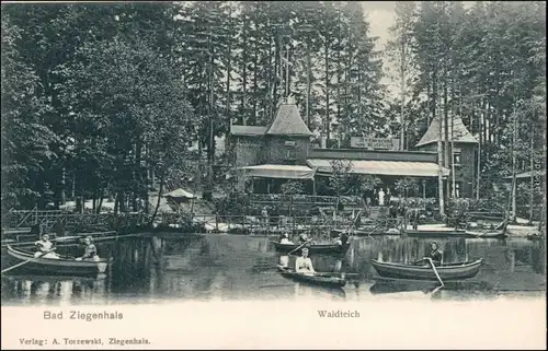 Ansichtskarte Bad Ziegenhals Głuchołazy Restauration Waldteich 1912 