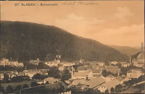 Ansichtskarte St. Blasien Panorama-Ansicht - Fabriken 
1906