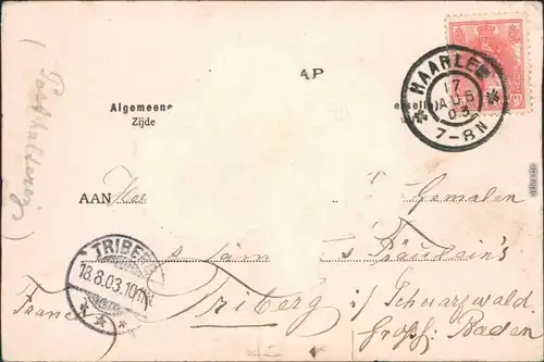 Ansichtskarte Haarlem Haarlemmerhout Nordholland b Amsterdam 1903