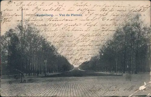 Ansichtskarte Koekelberg-Brüssel Bruxelles Vue Du Plateau 1905