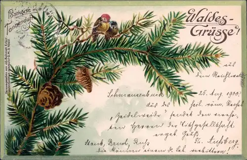 Ansichtskarte  Glückwunsch / Grusskarten: Allgemein - Waldes Grüsse 1900