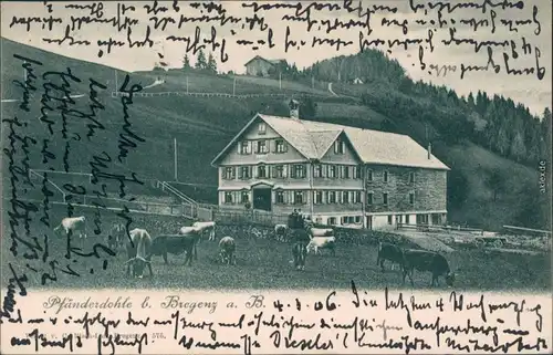 Ansichtskarte Bregenz Hotel/Gaststätte "Pfänderdohle" 1906