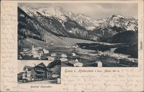 Ansichtskarte Hinterstein / Allgäu Panorama-Ansicht, Gasthof Steinadler 1905