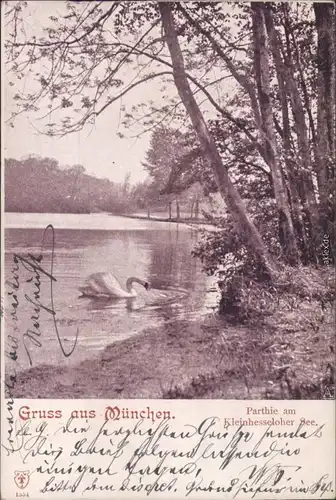 Ansichtskarte München Partie am Kleinhesseloher See Englischer Garten 1902 