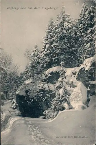 Ansichtskarte _Sachsen Winter im Erzgebirge 1913