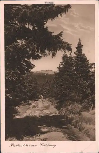 Ansichtskarte Ilsenburg (Harz) Brockenblick vom Goetheweg g1929