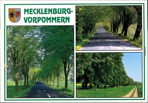 Ansichtskarte Mecklenburg Vorpommern Mecklenburg Vorpommern - Alleen 1995