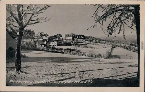Oberbärenburg-Altenberg (Erzgebirge) Blick auf den Ort - Winterlandschaft 1954